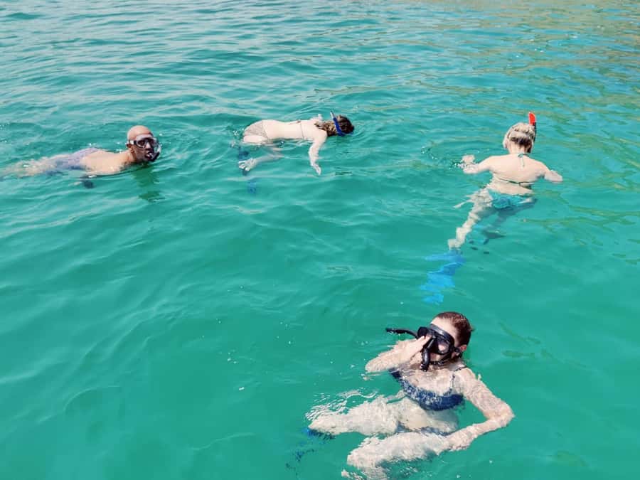 Muscat: Dolphin Watch & Snorkel Excursion - Speedboat time: long enough to matter for dolphin spotting