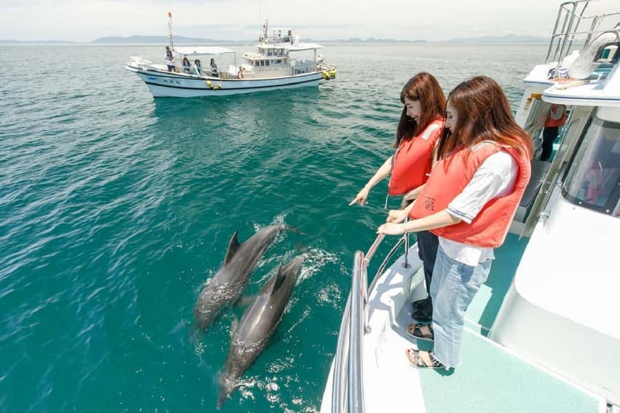 Muscat: Dolphin Watching and Snorkeling Tour - Muscat pickup, the 4-hour timing, and how not to waste time