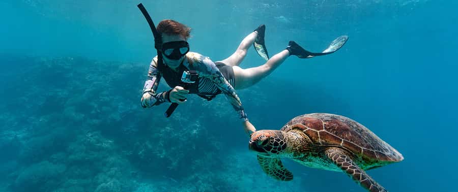 Muscat: Dolphin Watching and Snorkeling Tour - Price and value: is $90 fair for dolphin watching plus snorkeling?