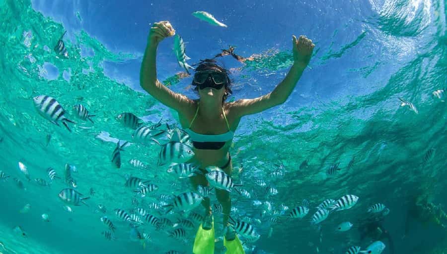 Muscat: Dolphin Watching and Snorkeling Tour - Small details that make the experience smoother