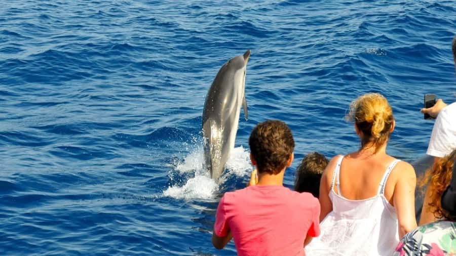 Muscat: Dolphin Watching and Snorkeling Tour - FAQ