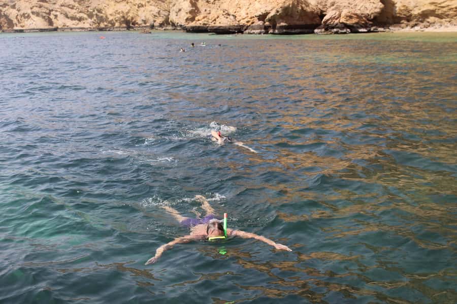 Muscat: Dolphin Watching and Snorkeling Tour By Speed Boat - Key things I found most useful before you go