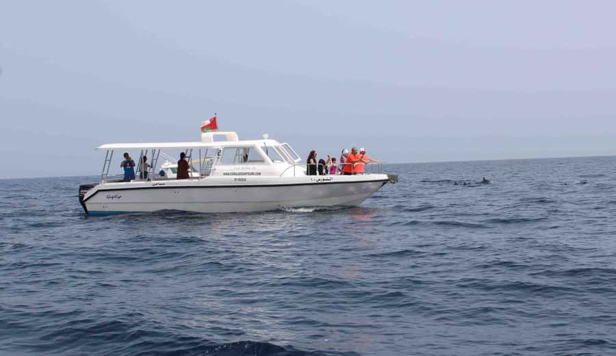 Muscat: Dolphin Watching and Snorkeling Tour By Speed Boat - How the Coral Ocean Tours loop runs from Marina to sea