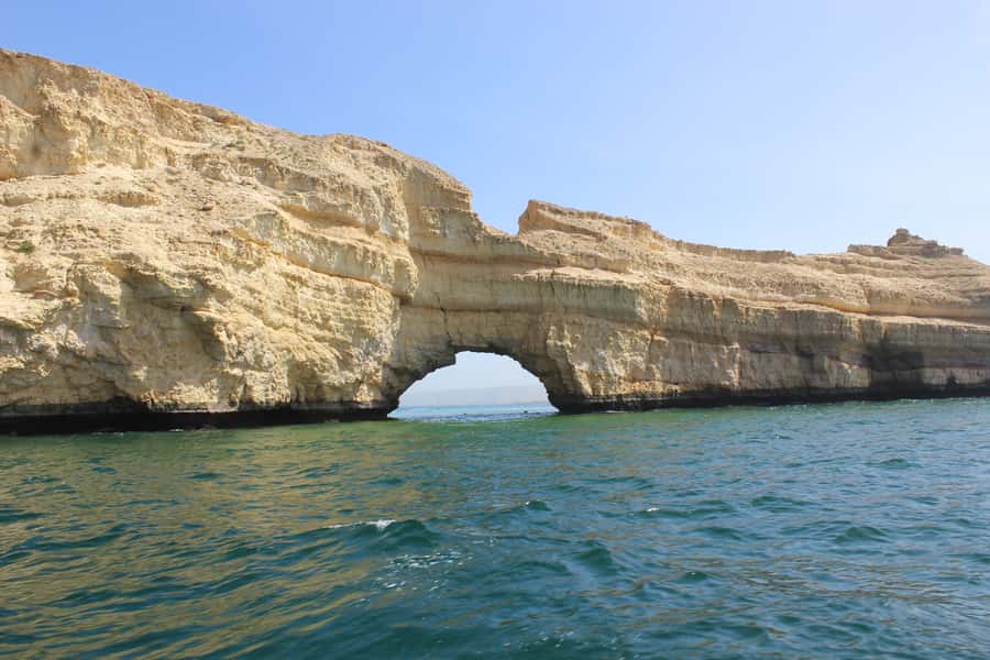 Muscat: Dolphin Watching and Snorkeling Tour By Speed Boat - Snorkeling in crystal-clear water: fish, coral reefs, and turtles (when luck is on your side)