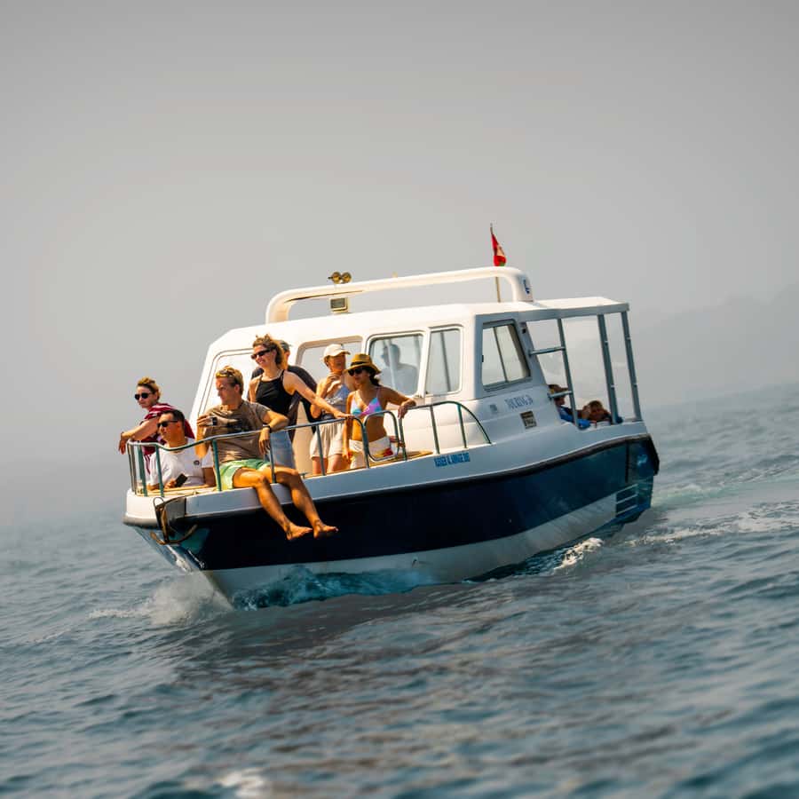 Muscat: Dolphin Watching and Snorkeling Trip - Dolphin watching on the Arabian Sea coast: what to expect