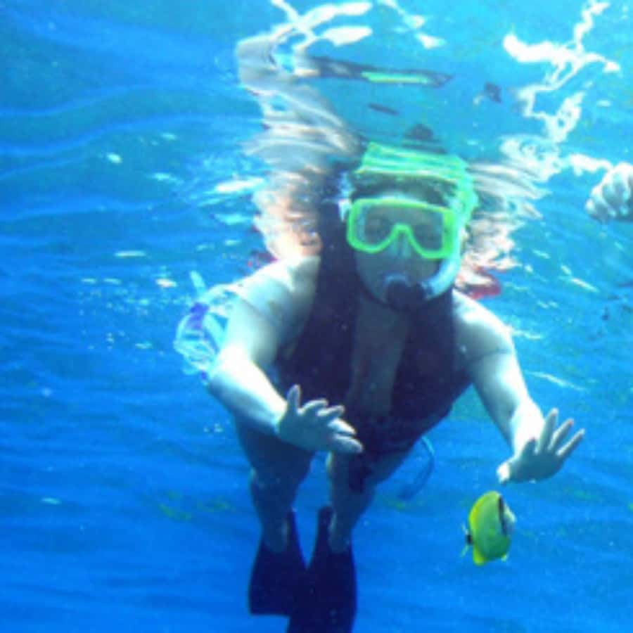 Muscat: Dolphin Watching and Snorkeling Trip - Snorkeling stop: how to make your 1-hour underwater time count