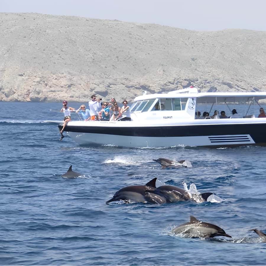 Muscat: Dolphin Watching and Snorkeling Trip - Price and value: is $57 per person worth it?