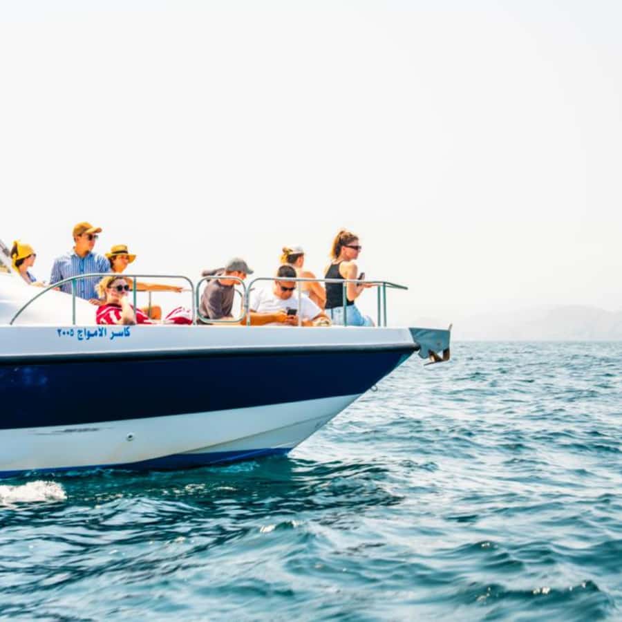 Muscat: Dolphin Watching and Snorkeling Trip - Who should book this trip, and who should plan differently