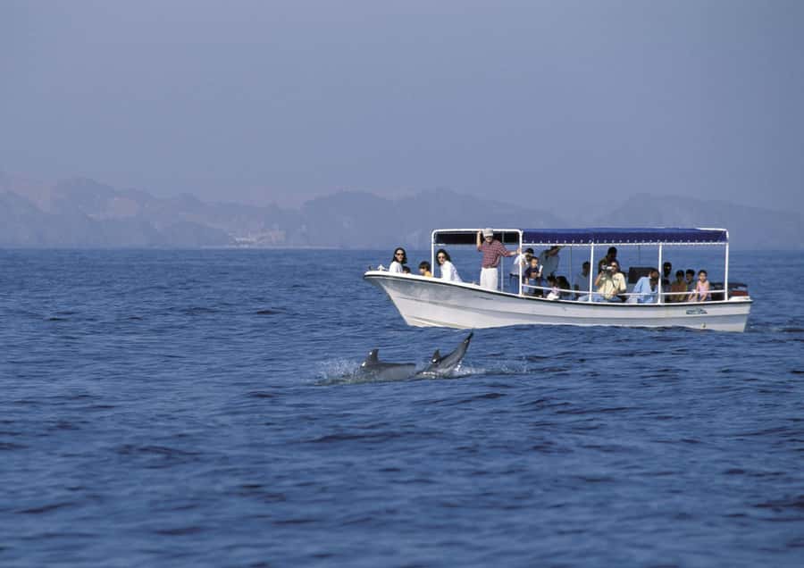 Muscat: Dolphin Watching Boat Amazing Trip - Who This Dolphin Boat Trip Fits (And Who Should Skip It)