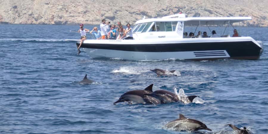 Muscat: Dolphin Watching Boat Tour - The 2-Hour Schedule That Keeps It Relaxed