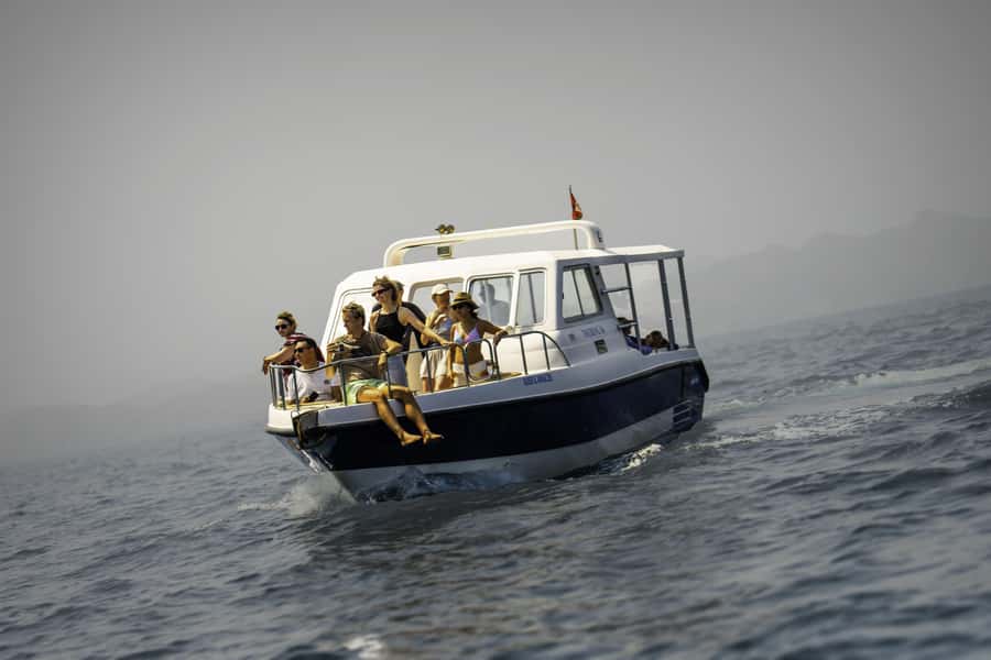 Muscat: Dolphin Watching Boat Trip with Snacks & Local Guide - Key highlights at a glance