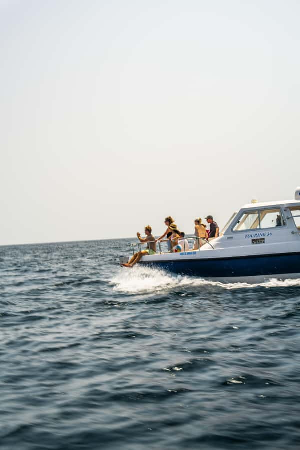 Muscat: Dolphin Watching Boat Trip with Snacks & Local Guide - Meet the Crew: Licensed Captain, Local Guide, and Safety Basics