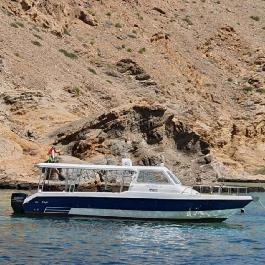 Muscat: Dolphin Watching Boat Trip with Snacks & Local Guide - Pace and Group Feel: Relaxed Watching, Not a Production Line