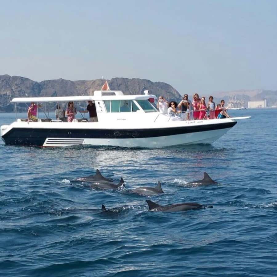 Muscat Dolphin Watching & Coastal Sightseeing Tour - Dolphins and Coast Views: Why This Tour Works in Muscat