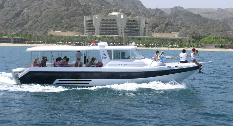Muscat Dolphin Watching & Coastal Sightseeing Tour - Who This Tour Suits Best (And Who Should Skip It)