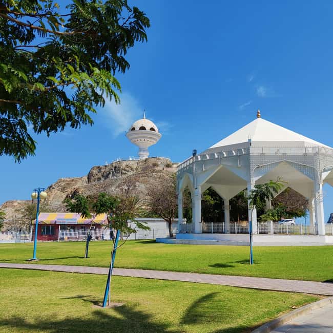 Muscat: Full-Day Private City Tour by luxury Car with Guide - Royal Opera House area and the government quarter drive-by