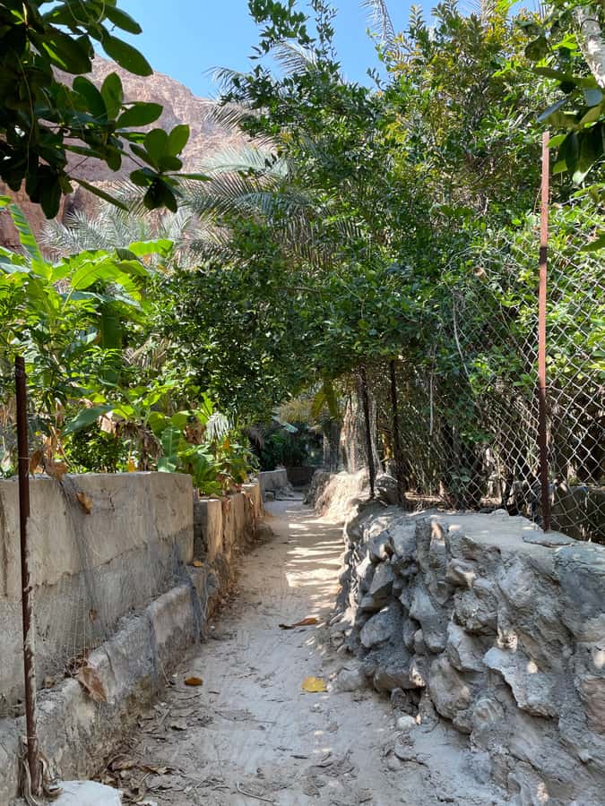 Muscat: Full-Day Wadi Shab & Bimmah Sinkhole Private Tour - Water time in Wadi Shab: swim confidence and what to bring
