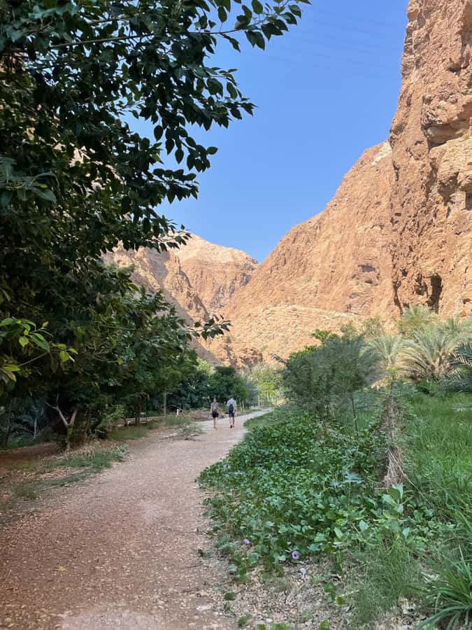 Muscat: Full-Day Wadi Shab & Bimmah Sinkhole Private Tour - Who this tour suits, and who should reconsider