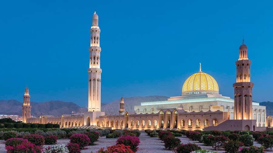 Muscat: Group City Tour with Pickup and Lunch or Dinner - Royal Opera House Muscat: The Arts Side of Oman