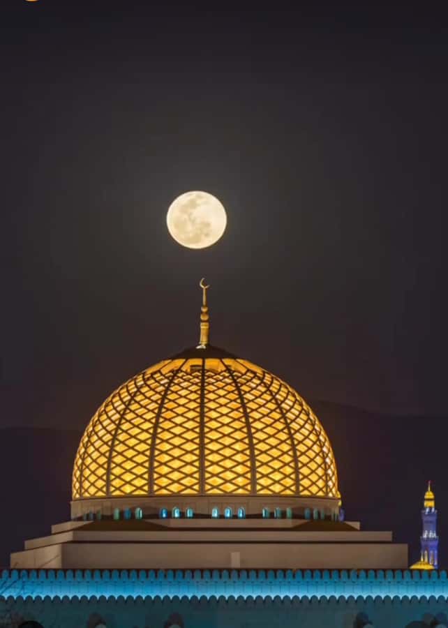 Muscat: Guided Landmarks Tour - Mutrah Corniche and the fish market: seaside Muscat in short, photogenic bursts