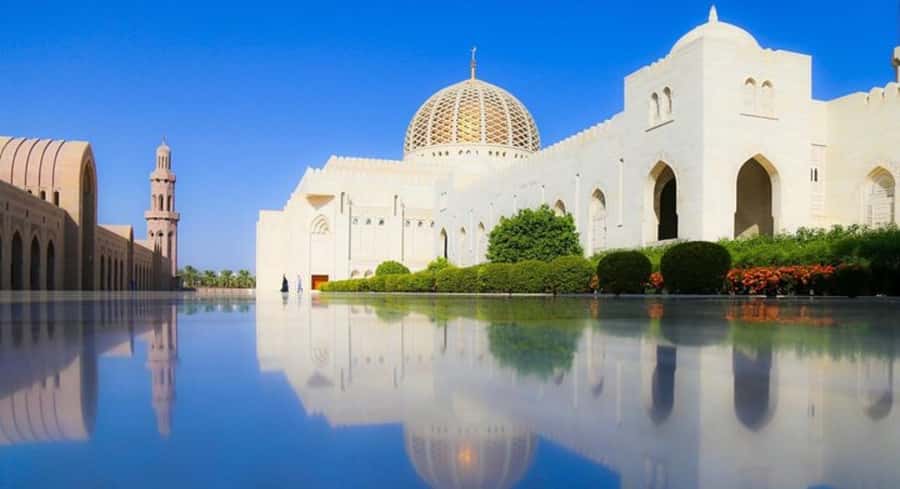 Muscat life and local culture city tour - Who Should Book This Tour (And Who Might Prefer Something Else)
