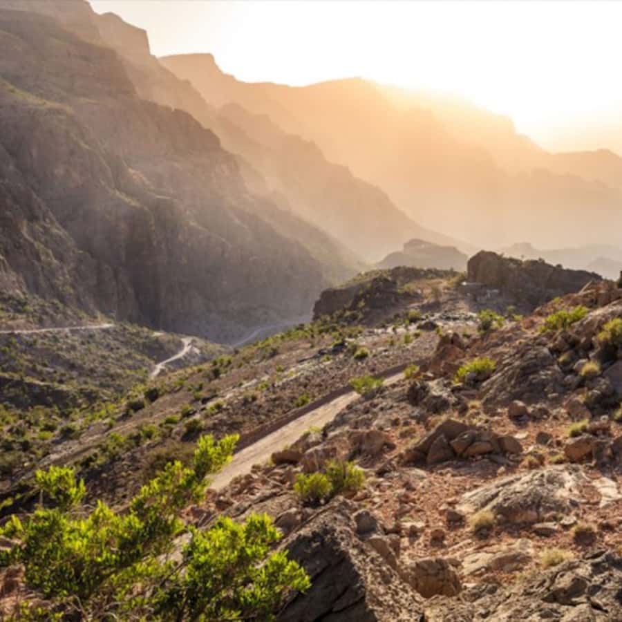 Muscat: Nizwa and Jabal Shams- Full Day Tour - Al Hamra village, a quieter counterpoint to Nizwa