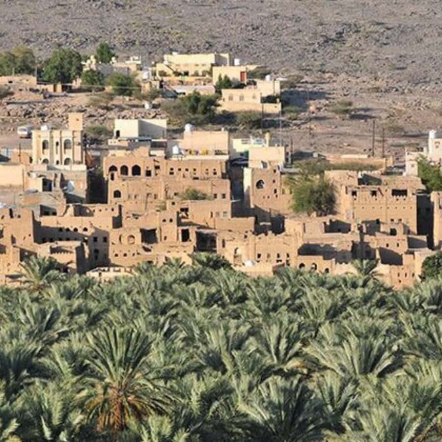 Muscat: Nizwa and Jabal Shams- Full Day Tour - Timing, comfort, and the 4WD logistics that matter