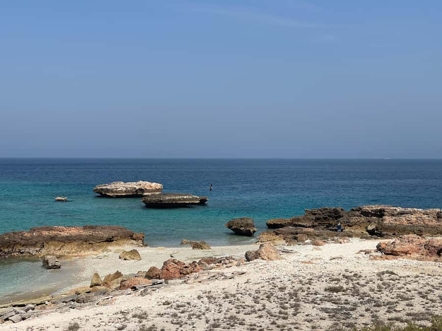 Muscat Oman: Snorkeling adventure to Daymaniyat Island - Key highlights that matter