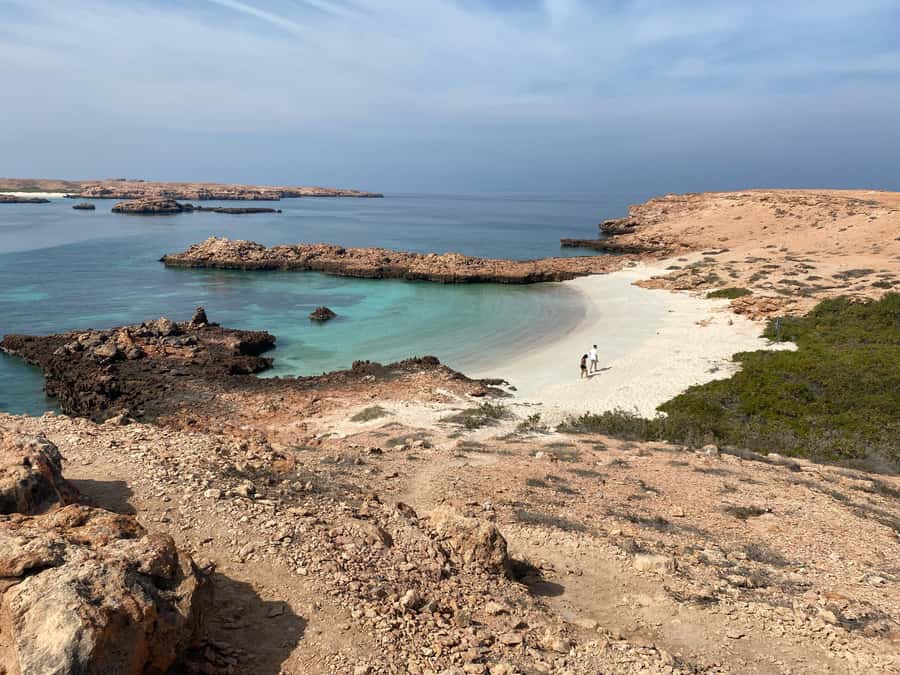 Muscat Oman: Snorkeling adventure to Daymaniyat Island - Daymaniyat Islands snorkel, the real point of the trip