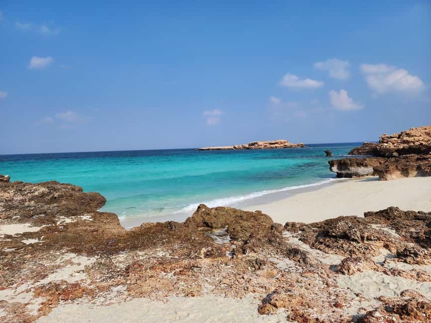 Muscat Oman: Snorkeling adventure to Daymaniyat Island - Snorkeling at Daymaniyat, two stops and a wildlife focus