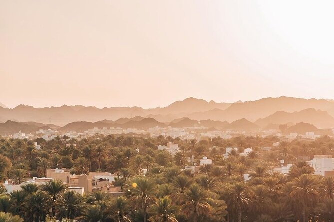 Muscat Shore Excursion: Private Nizwa Day Trip - Nizwa Souq: where you shop with your eyes, even if you skip buying