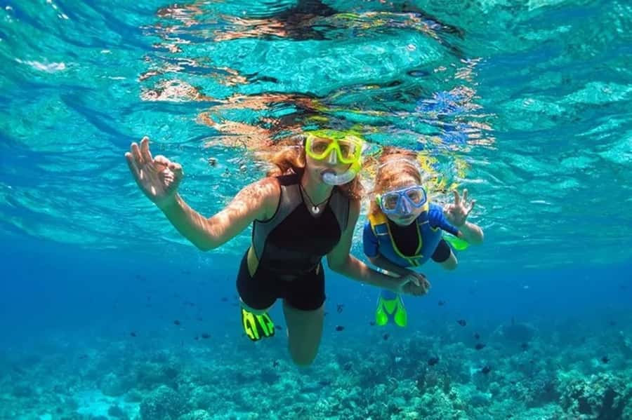 Muscat: Snorkeling and Dolphin Watching Tour - Key things worth knowing before you go