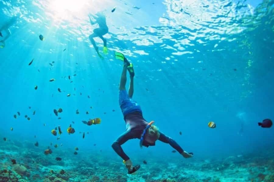 Muscat: Snorkeling and Dolphin Watching Tour - Crew, guidance, and languages that reduce the stress