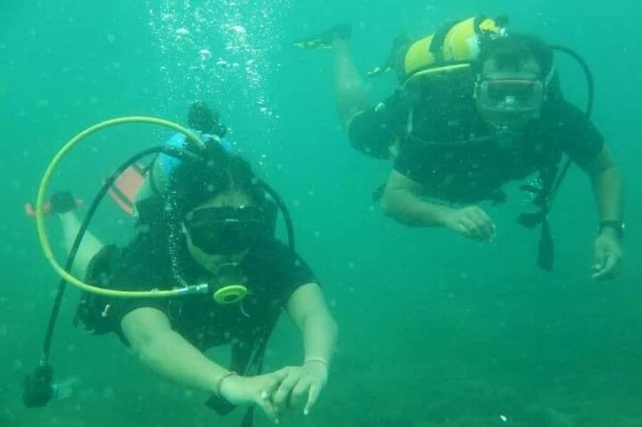 Muscat: Snorkeling and Dolphin Watching Tour - The one mixed note to respect before you book