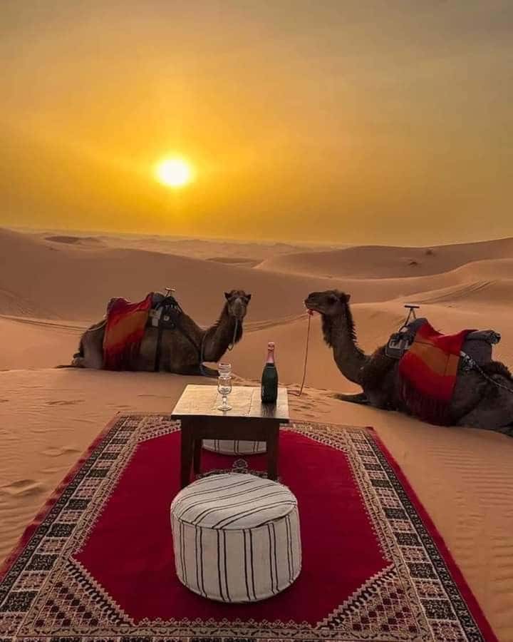 Muscat: Wadi Bani Khalid & Sunset at Wahiba Sands - Lunch on the road: simple and practical