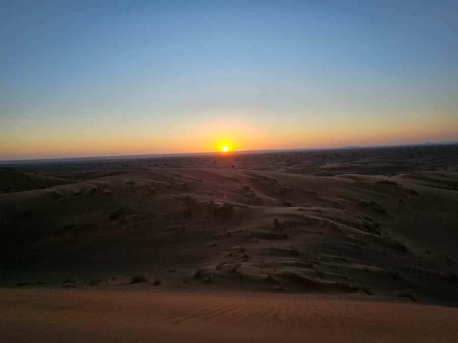 Muscat: Wadi Bani Khalid & Wahiba Sands Full-Day Tour - Wahiba Sands Golden Dunes and the Thrill of Dune Bashing