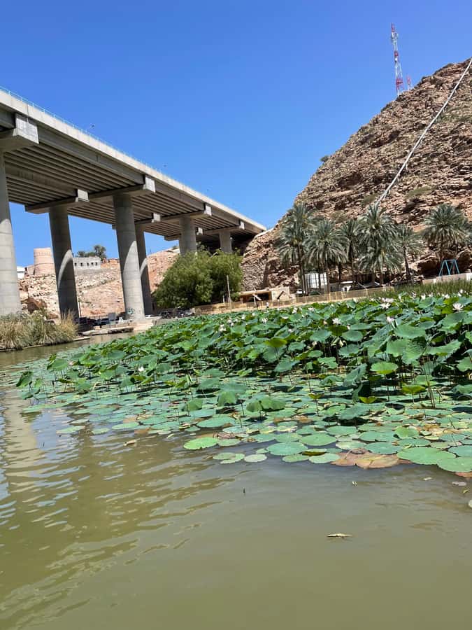 Muscat: Wadi Shab, Romantic Cave and Sinkhole Full-day Trip - Heart-shaped cave stop: photos, sea views, and a breather