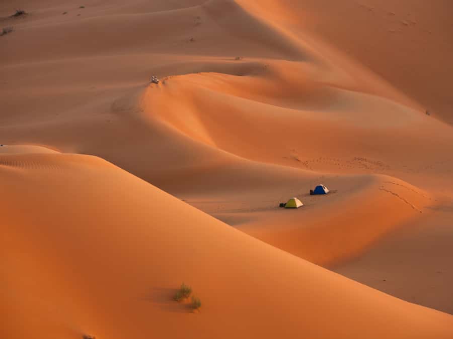 Muscat: Wahiba Sands Desert Sunset Tour with Dinner - A 4x4 Wahiba Sands sunset day from Muscat