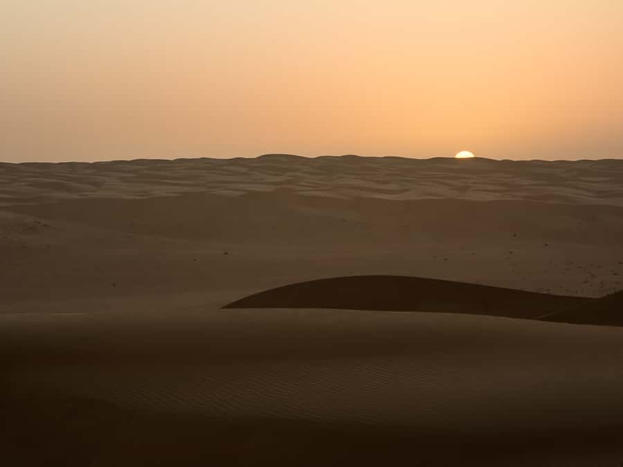 Muscat: Wahiba Sands Desert Sunset Tour with Dinner - Who this tour suits best, and who should skip it
