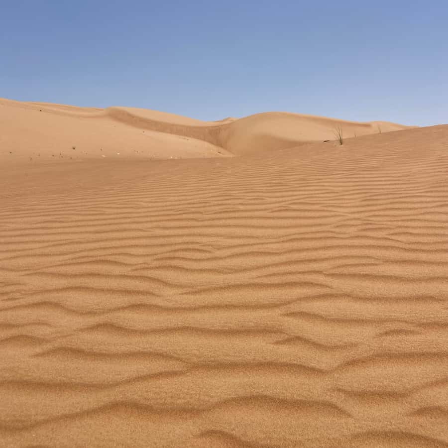 Muscat: Wahiba Sands Desert & Wadi Bani Khalid Full Day Tour - Bidiyah lunch break: a needed reset before the wadi