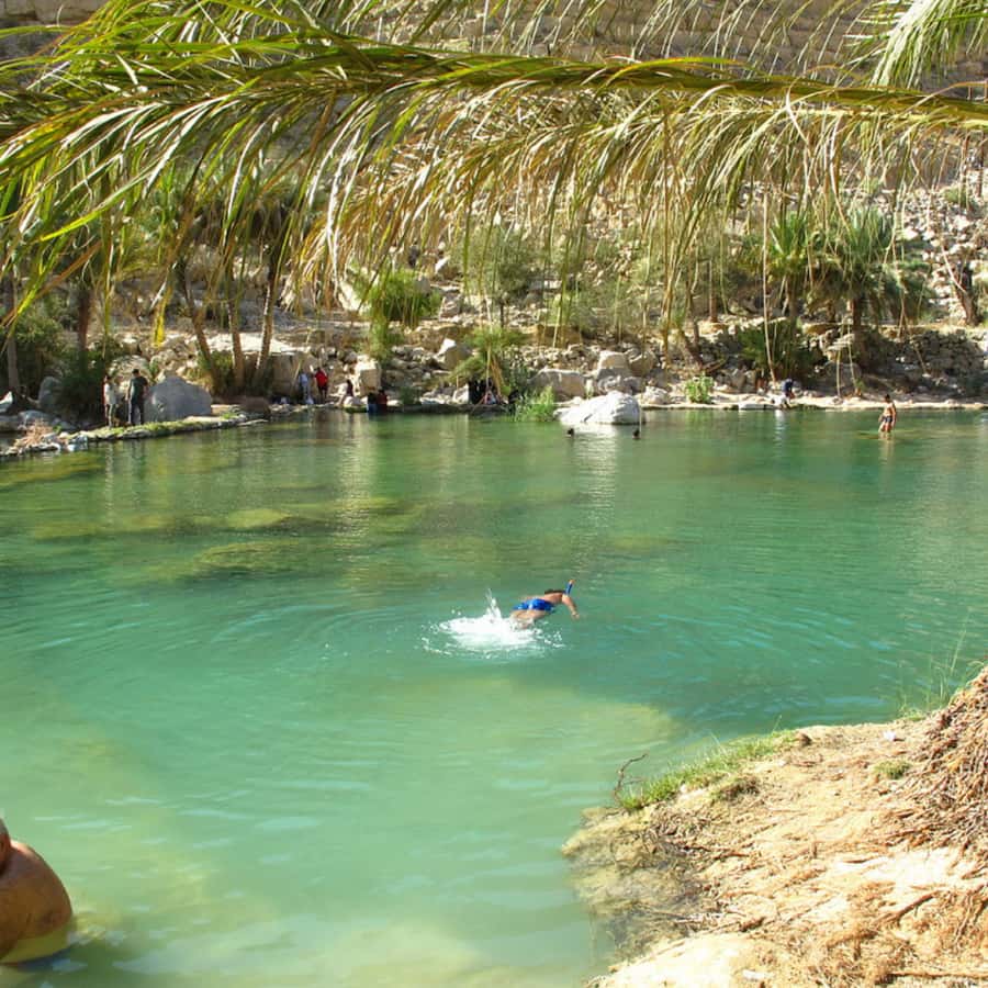 Muscat: Wahiba Sands Desert & Wadi Bani Khalid Full Day Tour - Price and value: $180 for a full-day mix of thrill and swim