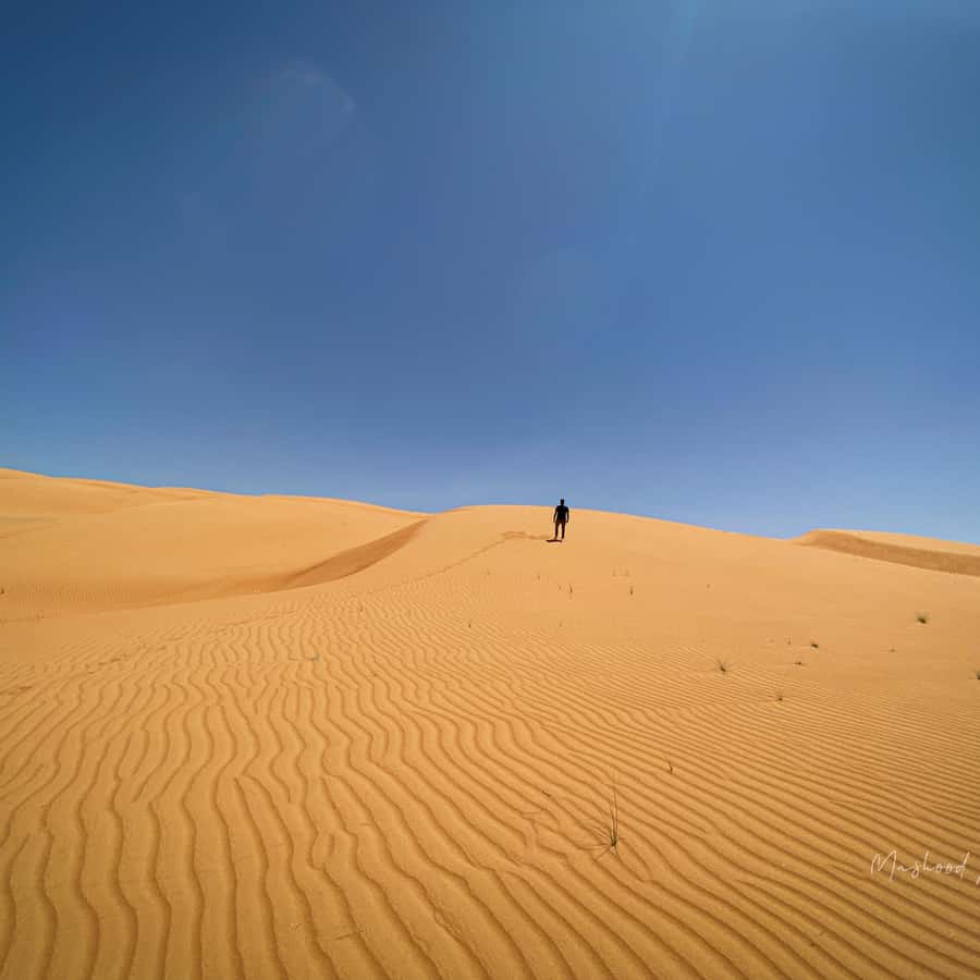 Muscat: Wahiba Sands Desert & Wadi Bani Khalid Full Day Tour - Wahiba Sands: dune bashing plus a Bedouin family visit