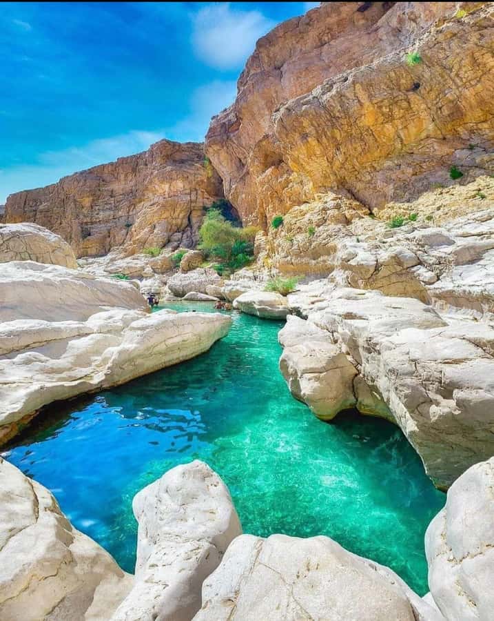 Muscat: Wahiba Sands & Wadi Bani Khalid Full-Day Tour+Lunch - Wahiba Sands: 4x4 Dune Bashing, Camel Ride, and Desert Photos That Actually Feel Alive
