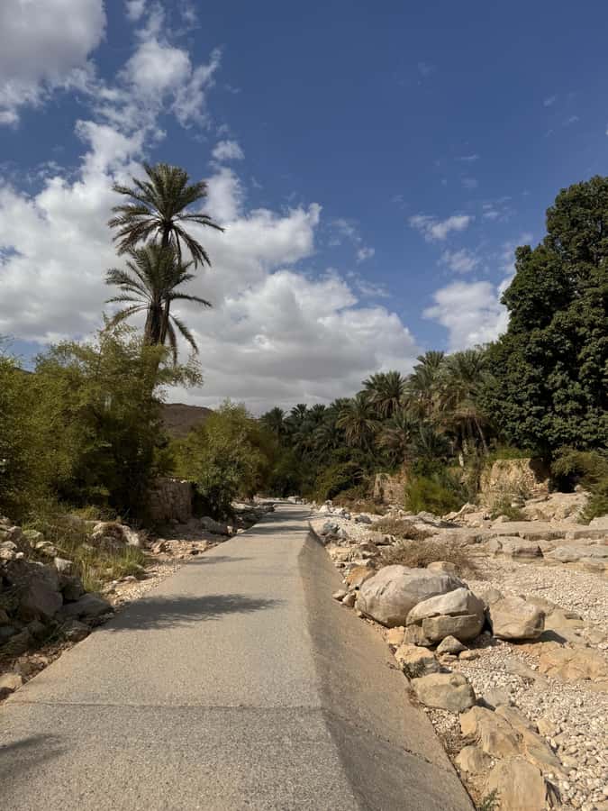 Muscat: Wahiba Sands & Wadi Bani Khalid Full-Day Tour+Lunch - Camel Riding and Desert Wildlife: What You Should Expect (and What You Can Skip)