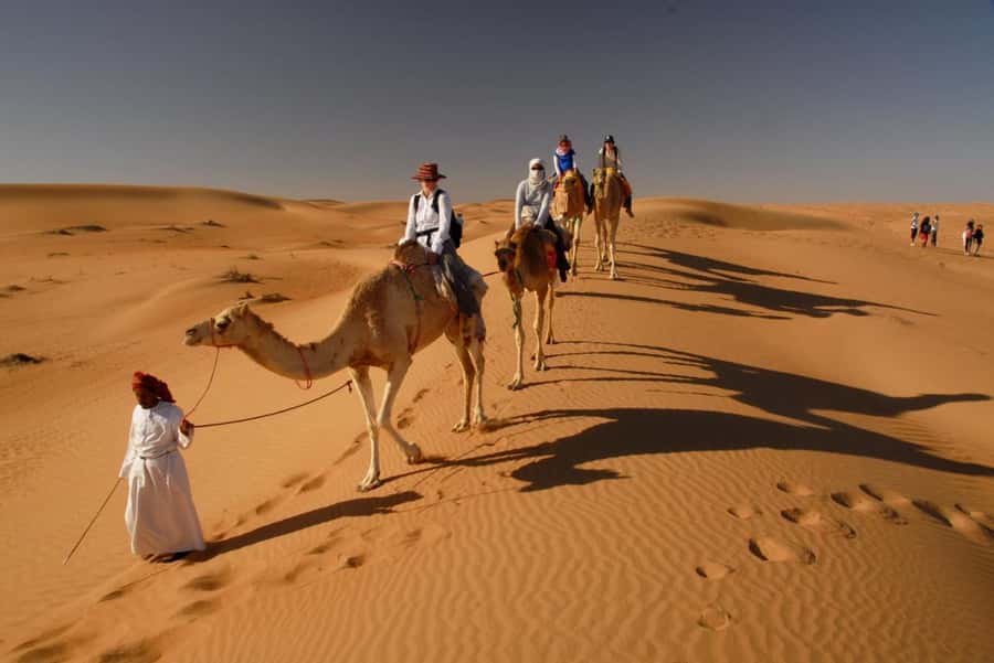 Muscat: Wahiba Sands & Wadi Bani Khalid Full-Day Tour+Lunch - What Makes This Tour Feel Like a “Private Day” Instead of a Bus Schedule