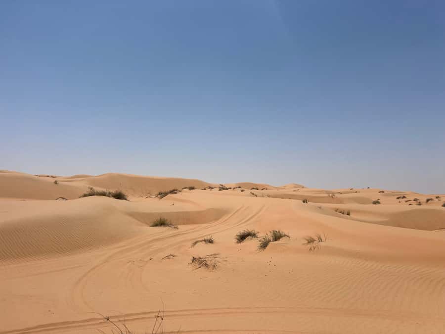 Muscat: Wahiba Sands, Wadi Bani Khalid & Mudayrib Tour - Quick take before you go