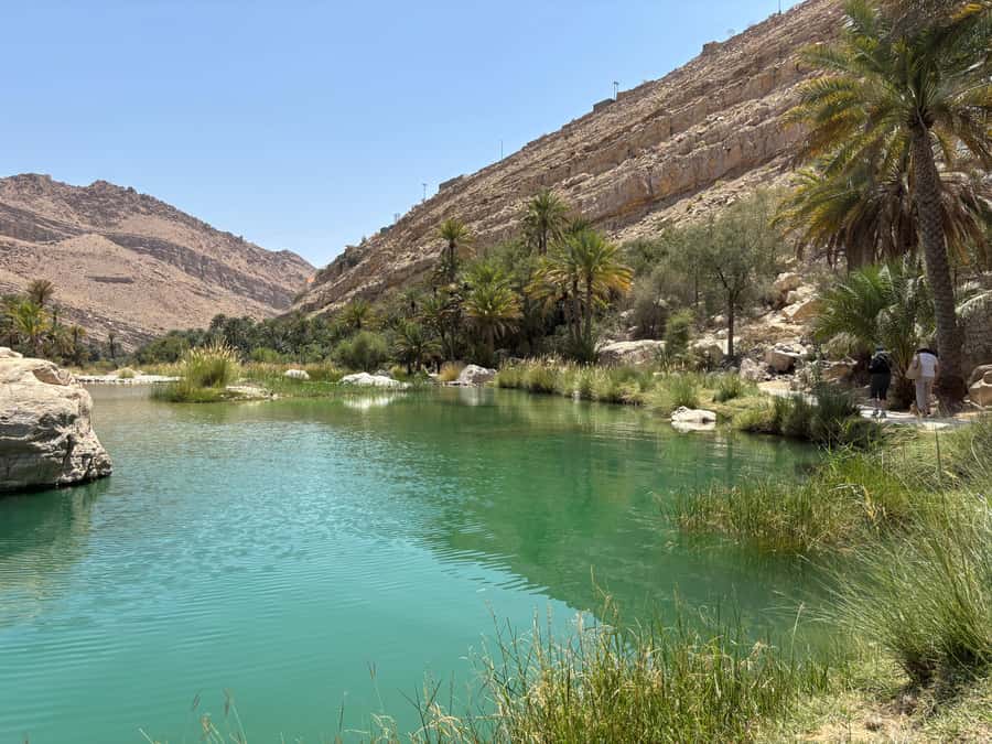 Muscat: Wahiba Sands, Wadi Bani Khalid & Mudayrib Tour - Price And Value: What $98 Really Buys You