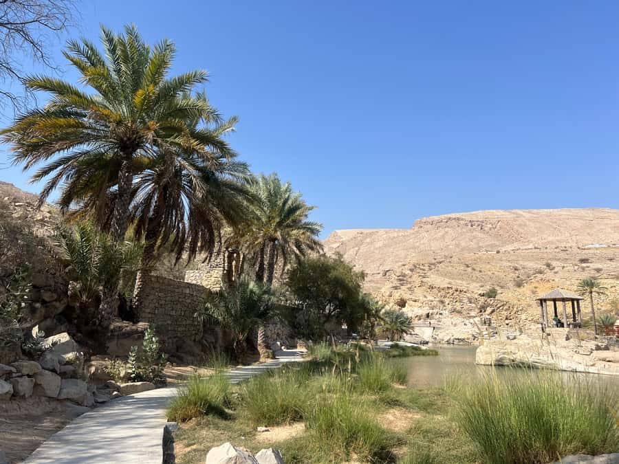 Muscat: Wahiba Sands, Wadi Bani Khalid & Mudayrib Tour - Tips To Make The Day Smoother And More Fun