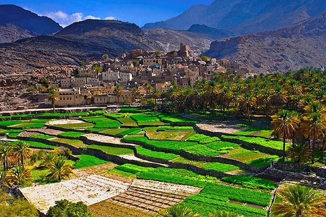 Nakhal Fort-Nakhal Hotspring-Wadi Bani Awf-Bilad Sayt - Private Full Day Tour - Nakhal hot springs wadi: warm water and real village life