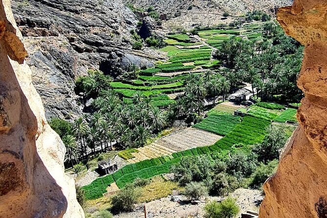 Nakhal Fort-Nakhal Hotspring-Wadi Bani Awf-Bilad Sayt - Private Full Day Tour - Wadi Bani Awf: off-road driving with cliffs and canyon views